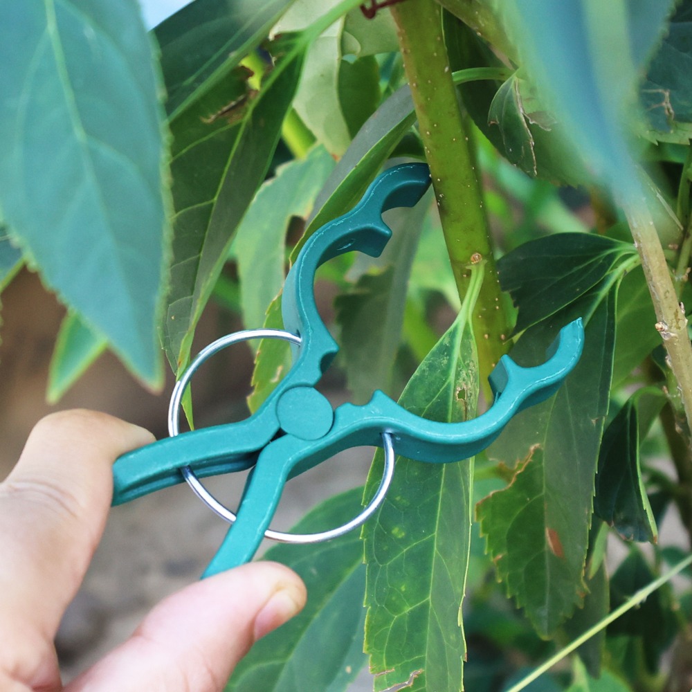 50/10PCS Plant Vegetable Suppo - Gardening Tools For Vines recension och pris
