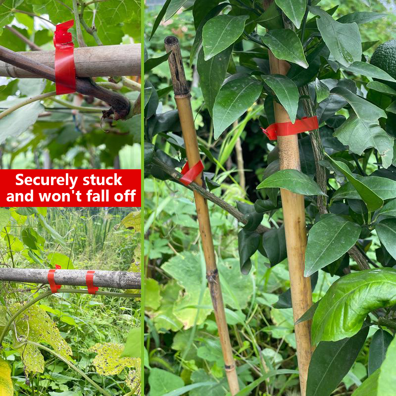 Garden Plants Branch Hand Tyin - Gardening Tools For Vines recension och pris
