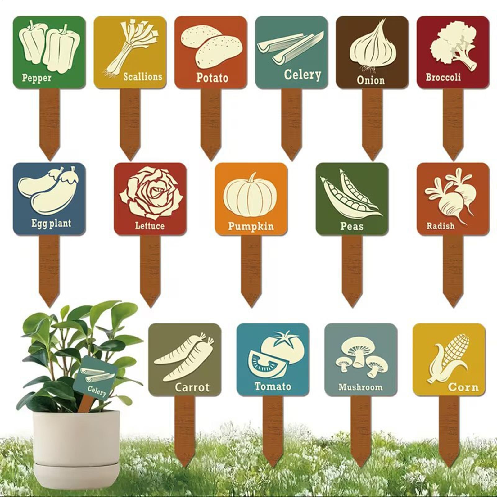 15 Pieces T-shape Signs Tags M - Plant Label Tags recension och pris