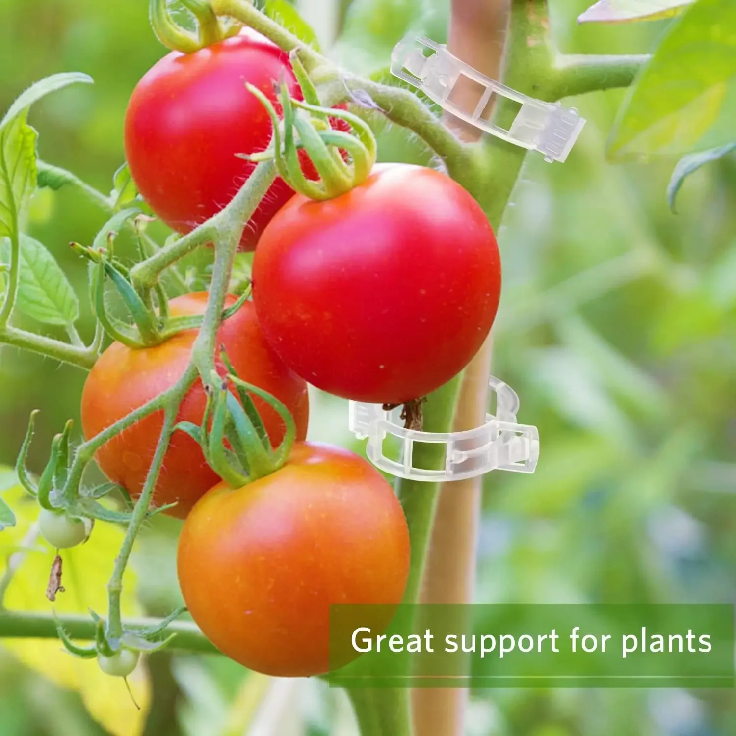 Plant Support Clips Reusable P - Gardening Tools For Vines recension och pris