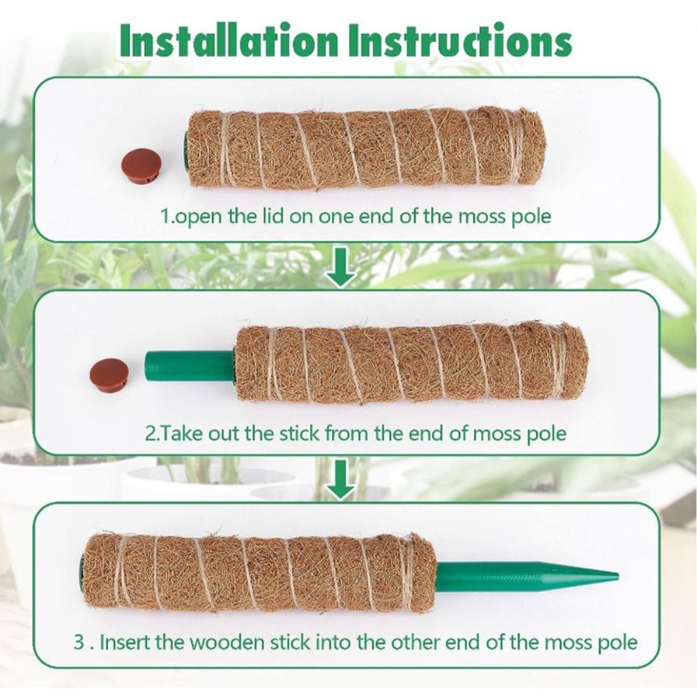 Fashion Detachable Moss Pole T - Gardening Tools For Vines recension och pris